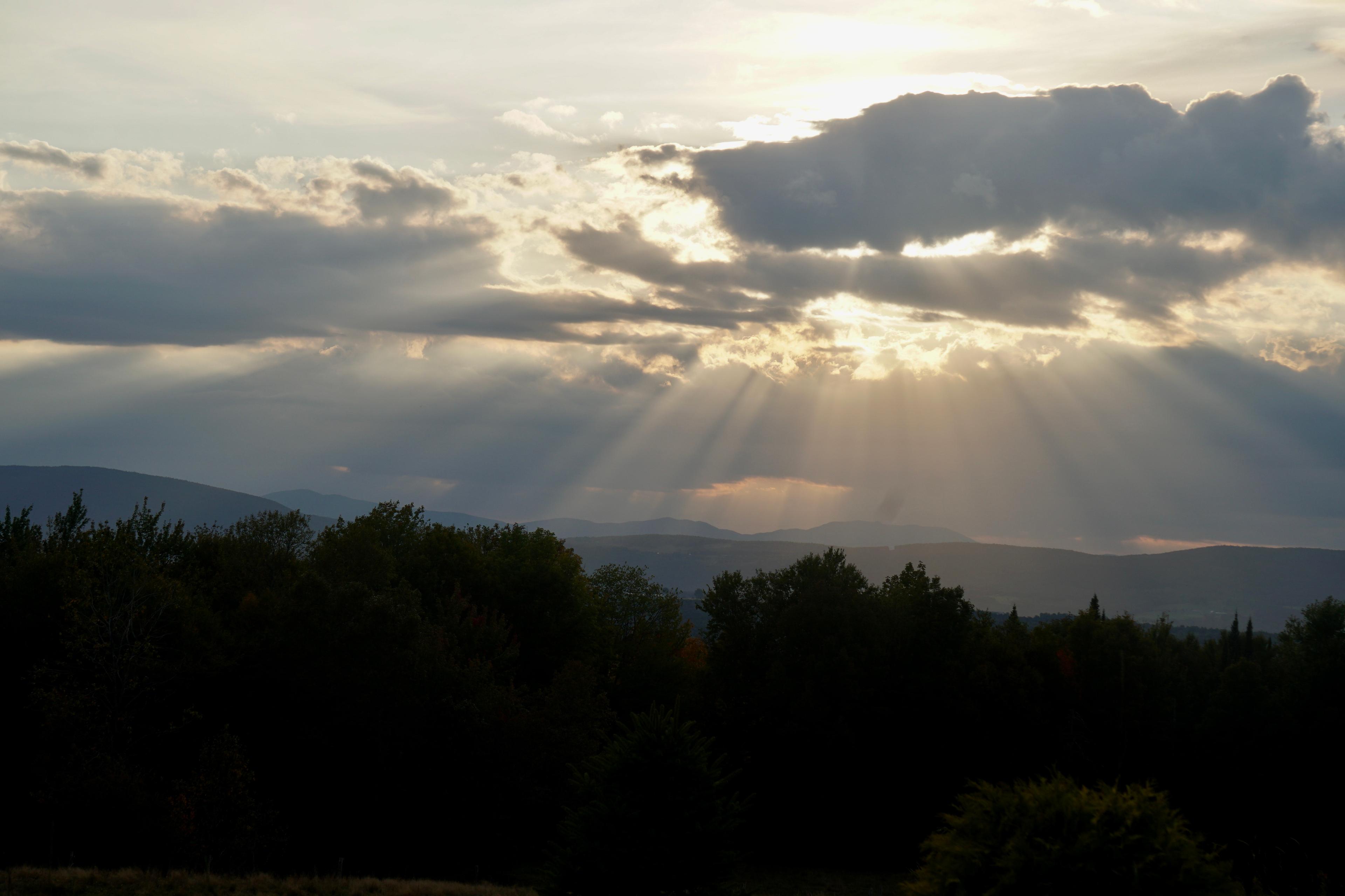 Light & Awe